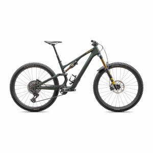 Vélo Specialized Stumpjumper 15 PRO Vert satiné / Gris métallisé / Jaune soufre satiné métallisé 2025